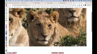 Wow Slider Image Gallery Tutorial