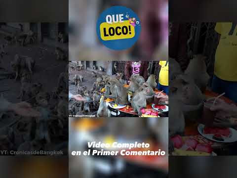 25 cosas que no sabias hace 5 minutos SHORT 3 | Que loco! #shorts #shortvideo #curiosidades