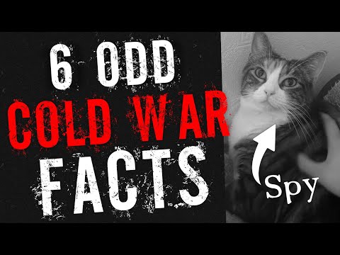 6 Strange Facts About the Cold War