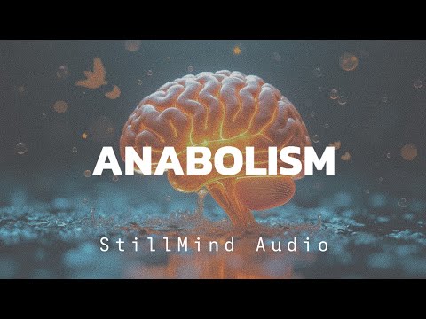 Neural Regulation Protocol: 2-Hour Multi-Frequency Entrainment for System Optimization