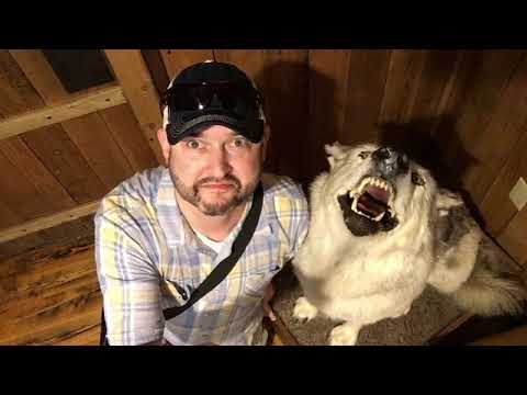 Discovering the creatures of the Northwest Trek trails