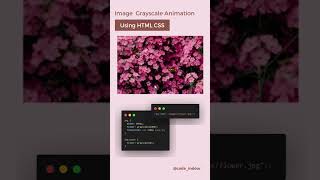 Image grayscale animation using HTML and CSS