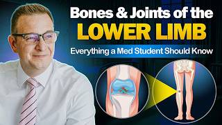 Bones and Joints of the LOWER Limb: Everything a Med Student Should Know