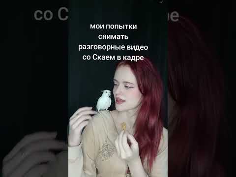 #птицы #смешныепопугаиговорящие #корелла