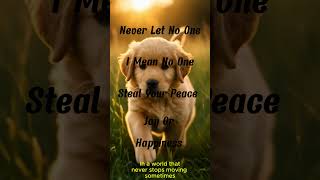 Never Let No One