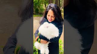Manali travele#lovesong#travelvlogger#trend#travelvlogger#manalibiketrip#lovesong#trenshorts#lovely