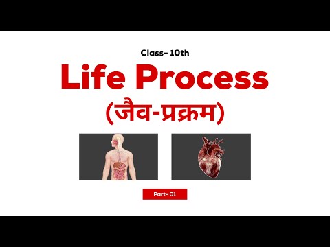 PT-01 | Introduction to Life Process | जैव प्रक्रम | Class 10th Biology Chapter 1 | Himanshu Sir