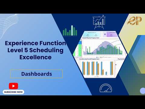 FLS5 Dashboards | Function Level Schedule Five Software | End to End Project Management Office