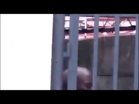 Curb your Robbery