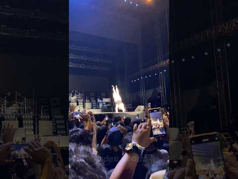 Aksi PUNK BUNNY 🐰di #greendaylivejakarta #greenday #shortvideo