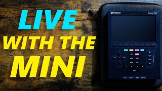LIVE with the Polyend Tracker Mini!