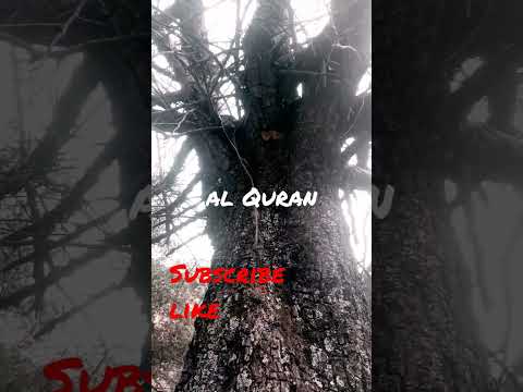 Surah Hood Ayat #7. #quran #islamic #shorts #urdutranslationofquran