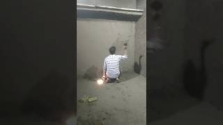 ❤️❤️❤️... #freepaytmcash #song #freepaytmcash #paytmearnmoney #earnpaytmcash #paytmpromocodes #paytm