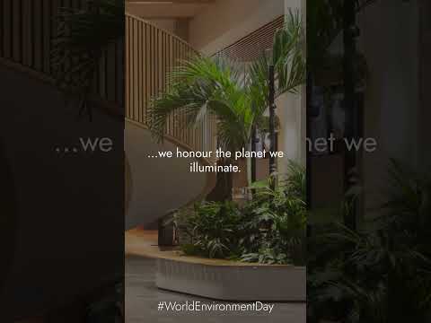 Designing a Brighter, Greener Future | #worldenvironmentday