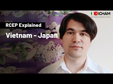 Vietnam - Japan | RCEP Explained