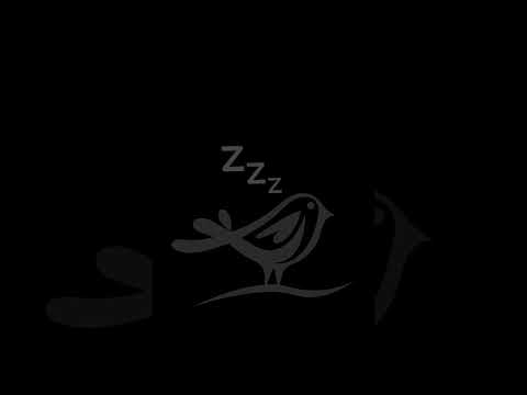 Have a Soothing Night with Sleep Music & A Black Screen 😴