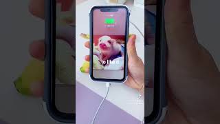 #PhoneHacks #LifeHacks #BatterySaving #YouTubeShorts #TipsAndTricks #SmartphoneTips #2025