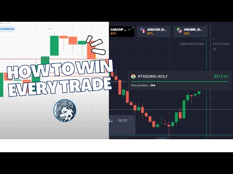 Quotex 100% Winning Strategy with Sureshot   || Trading Wolf || Quotex || Binary Trading