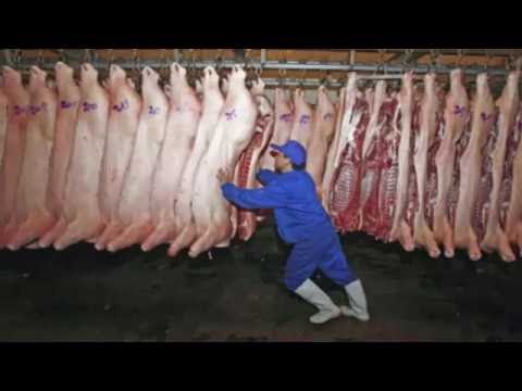 Intelligent Technology Smart Automatic Pork Produce and Cleaning Mega Machine Factory on Conveyor