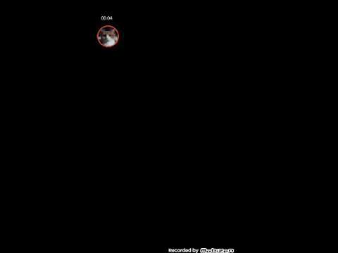 Crossy road mod menu apk