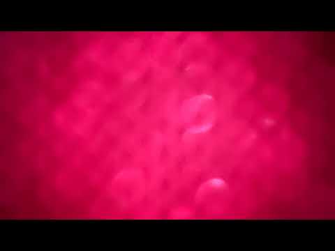 I’m Giving You The Game. By: Ms. Londa Pooh Live Stream