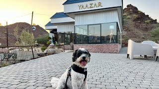 Video 201 - Yaazar