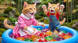 🐱💖 From Grocery Trip to Giggles: Mama Cat & Kitten Make Jelly Toys and Splash with Joy 🏊✨