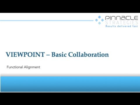 Visual Project Management  - Functional Alignment
