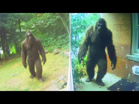 Sasquatch Caught Breaking Into House | "This Is Insane..." - BIGFOOT ENCOUNTER STORY