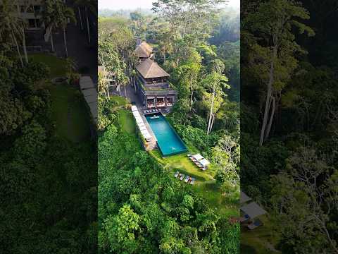 Imagine swimming in the middle of the jungle ✨ #hotel #bali #travel