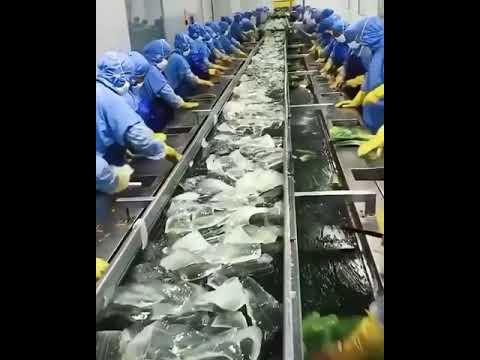 Aloevera Gel #face #facial from #nature #tech #video #manfacturing #amazing #viral #knowledge