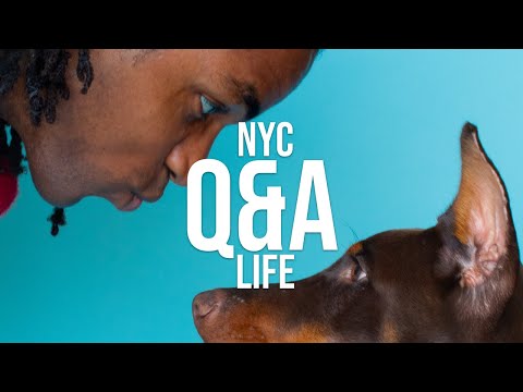 NYC Life Q&A: Answering Your Most Asked Questions!
