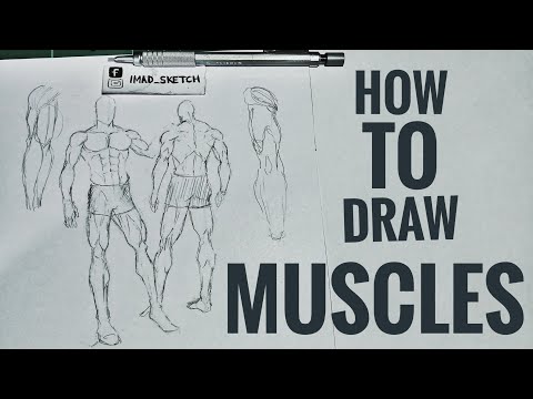 Drawing male body muscles |كيف ترسم عضلات الجسم