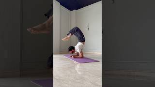 Perfect Your ELBOW STAND |Pincha Mayurasana?Try this Calisthenics beginner #calisthenics #yoga