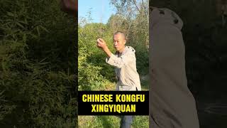 Chinese Kung Fu: Complete Traditional System | Authentic Methods | Master Mo