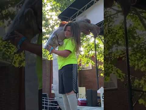 Kid Weighs in a River Monster at Okie Noodling Tourney!!
