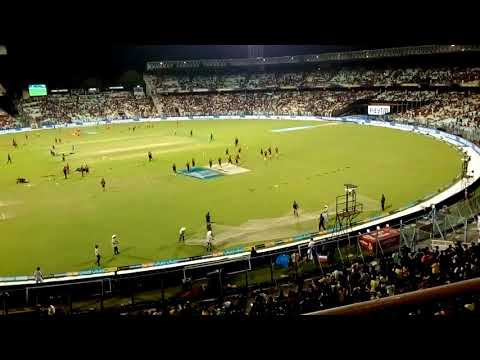 Eden garden