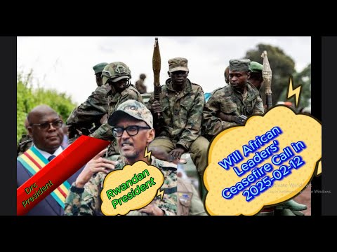 Will African Leaders' Ceasefire Call in  2025-02-12