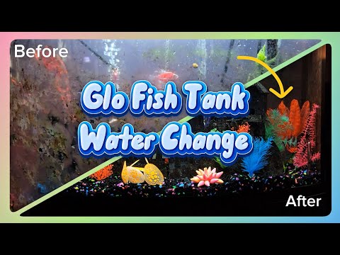 Glo Fish Tank Water Change