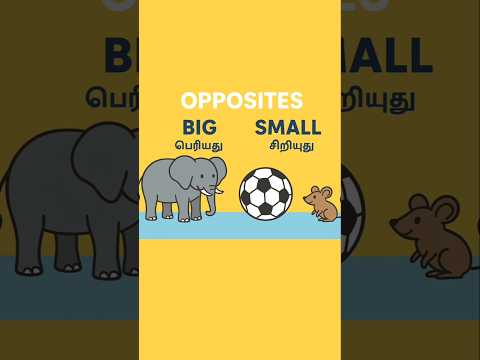 Big and Small | Opposite Words for Kids | Learning Video