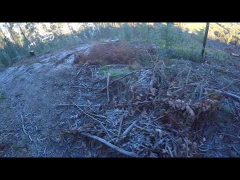 Foi assim que começou o dia... Logo de manha pra aquecer | Honda CR250R RC Valve
