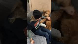 Dog attack! #shorts #cb3 #singersongwriter #livemusic #ohio #singer #dogs #puppyvideos #puppylovers
