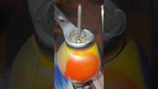 Common Screw Mistakes and How to Avoid Them
