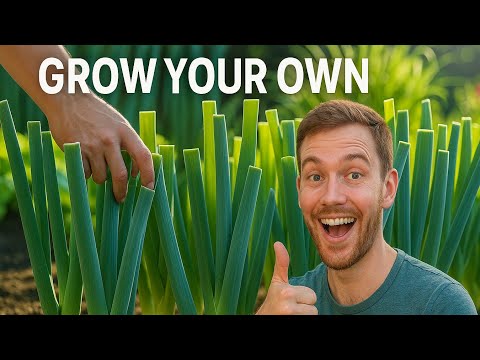 LEEK Plant SOS ! What's Killing Your Plants and How to Revive Them