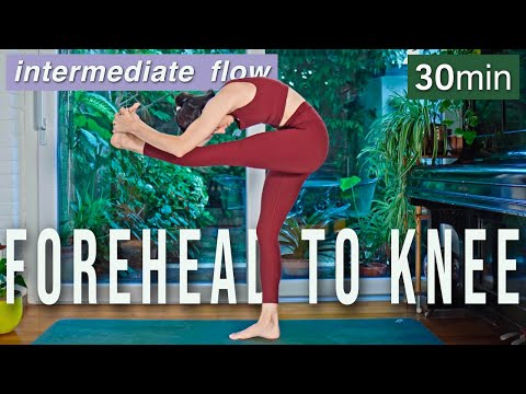 30-Min Intermediate Yoga | Forehead to Knee Flow