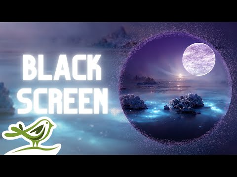 [NO ADS] Moonlight | 12 Hours of Deep & Relaxing Sleep Music with Black Screen