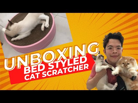 Unboxing Cat Scratcher for Nala and Ciko