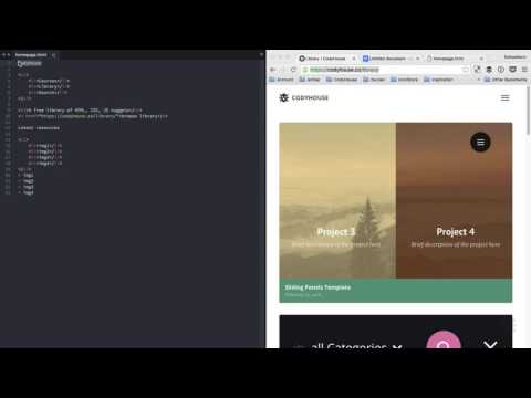 Learn HTML and CSS: HTML Basics