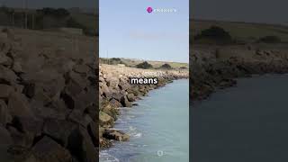 AI for Climate #sciencefather #environmentalscientists #researcher #EcoResilience #AIInnovation