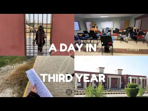A Day In The Life Of Third Year Pharm-D Student| Pharmacology QnA 🫣@misbaahnaveed